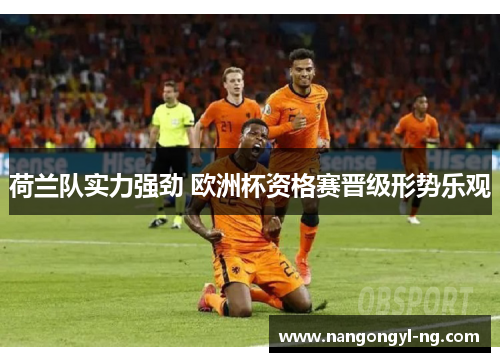 荷兰队实力强劲 欧洲杯资格赛晋级形势乐观