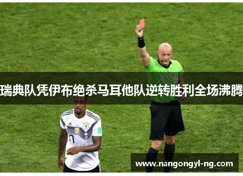 瑞典队凭伊布绝杀马耳他队逆转胜利全场沸腾