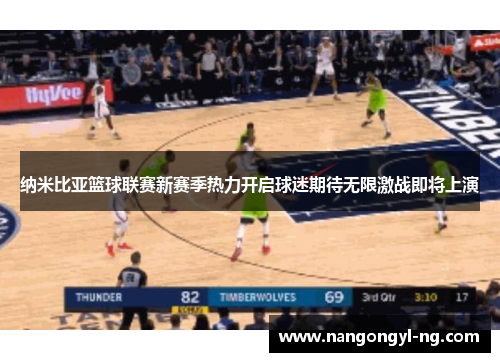 纳米比亚篮球联赛新赛季热力开启球迷期待无限激战即将上演