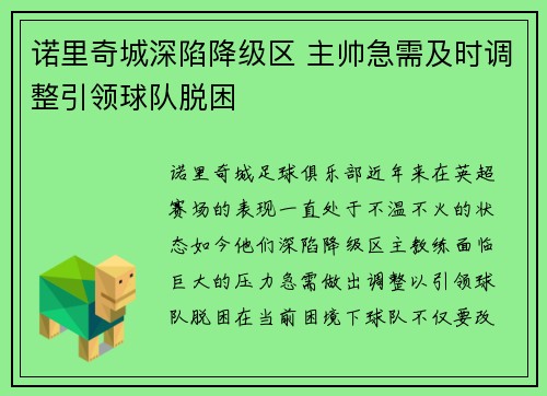 诺里奇城深陷降级区 主帅急需及时调整引领球队脱困