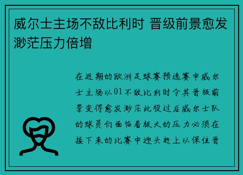 威尔士主场不敌比利时 晋级前景愈发渺茫压力倍增